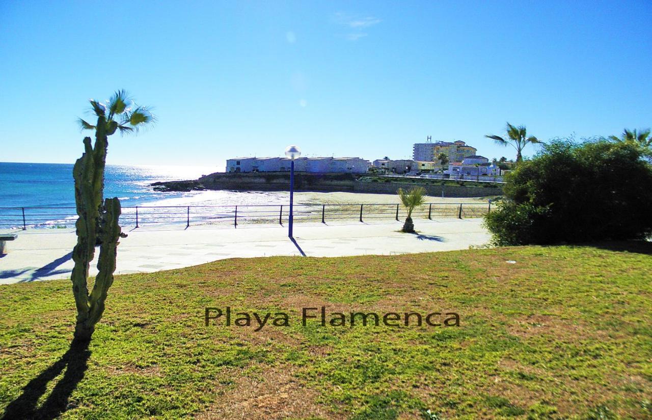 Apartment With Large Roof Solarium Dehesa de Campoamor  Esterno foto